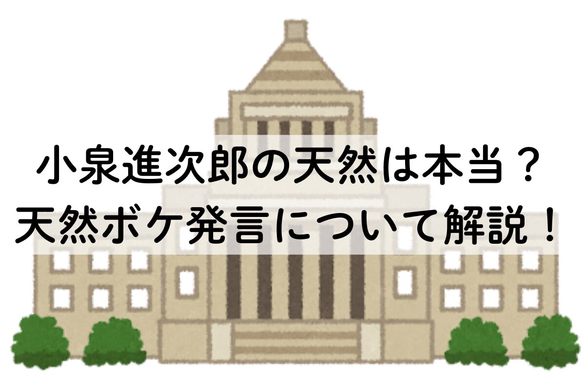 小泉進次郎の天然は本当？天然ボケ発言について解説！