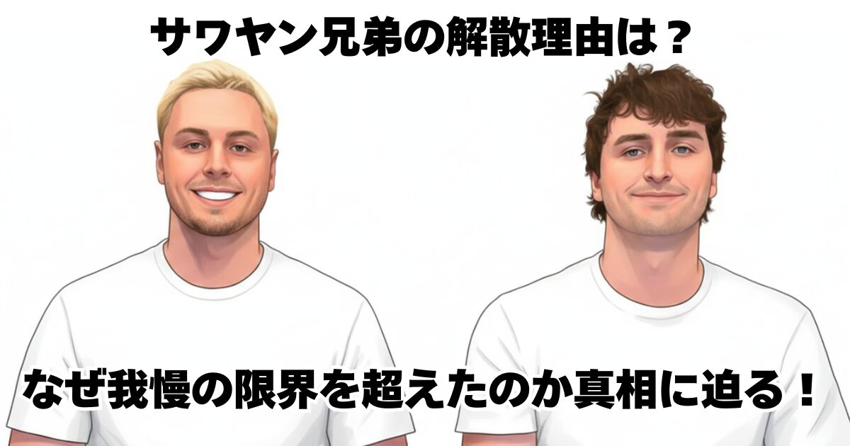 サワヤン兄弟の解散理由は？なぜ我慢の限界を超えたのか真相に迫る！